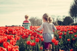 Spring Activities to Consider in Tacoma, WA