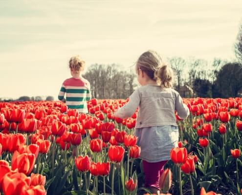 Spring Activities to Consider in Tacoma, WA