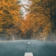 Fall and winter driving tips in Tacoma, WA