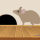 How to prevent rodent damage in your Tacoma, WA home