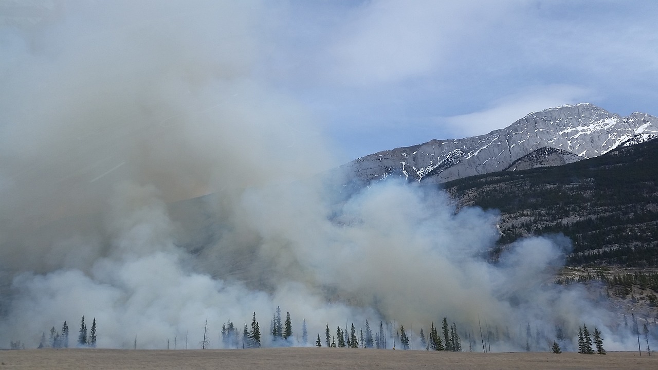 Wildfire & home insurance 